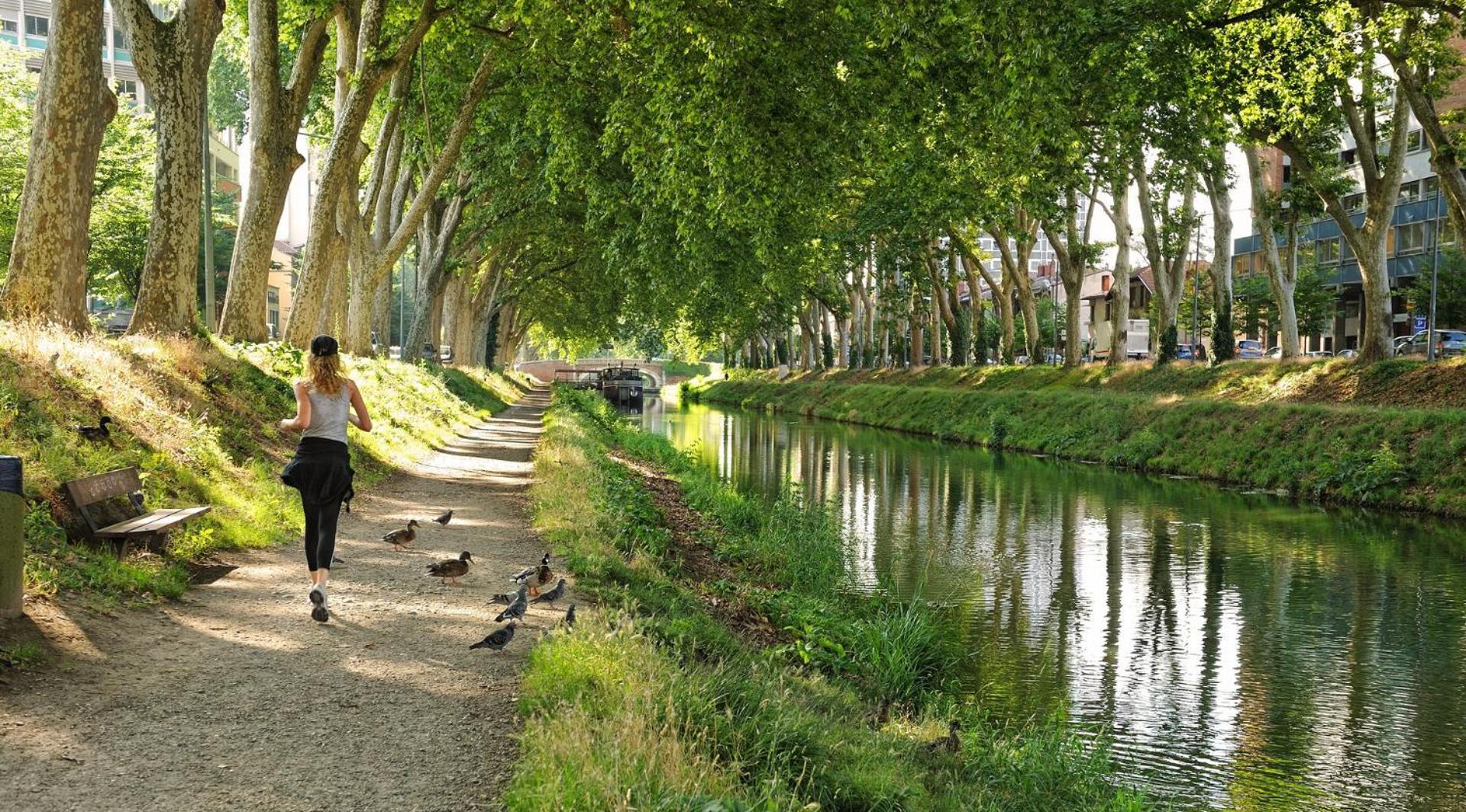 Saint-Sernin - Centre-Ville - Calme - Wifi Fibre تولوز المظهر الخارجي الصورة